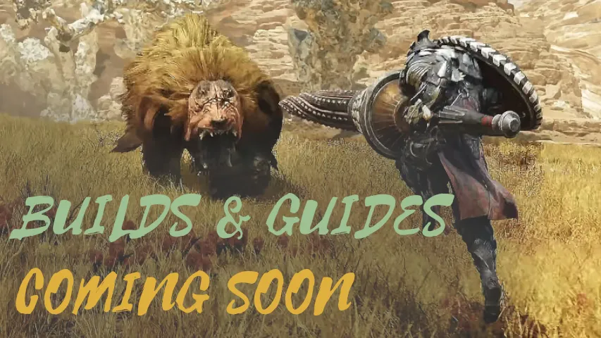 New Builds and Guides for Wilds